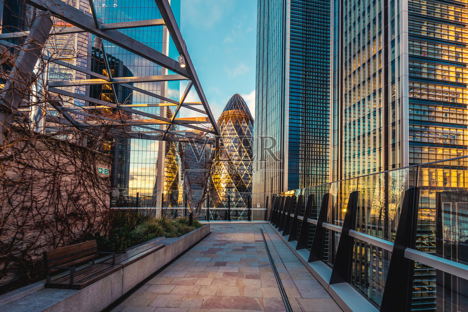 伦敦美丽的屋顶花园照片摄影图片