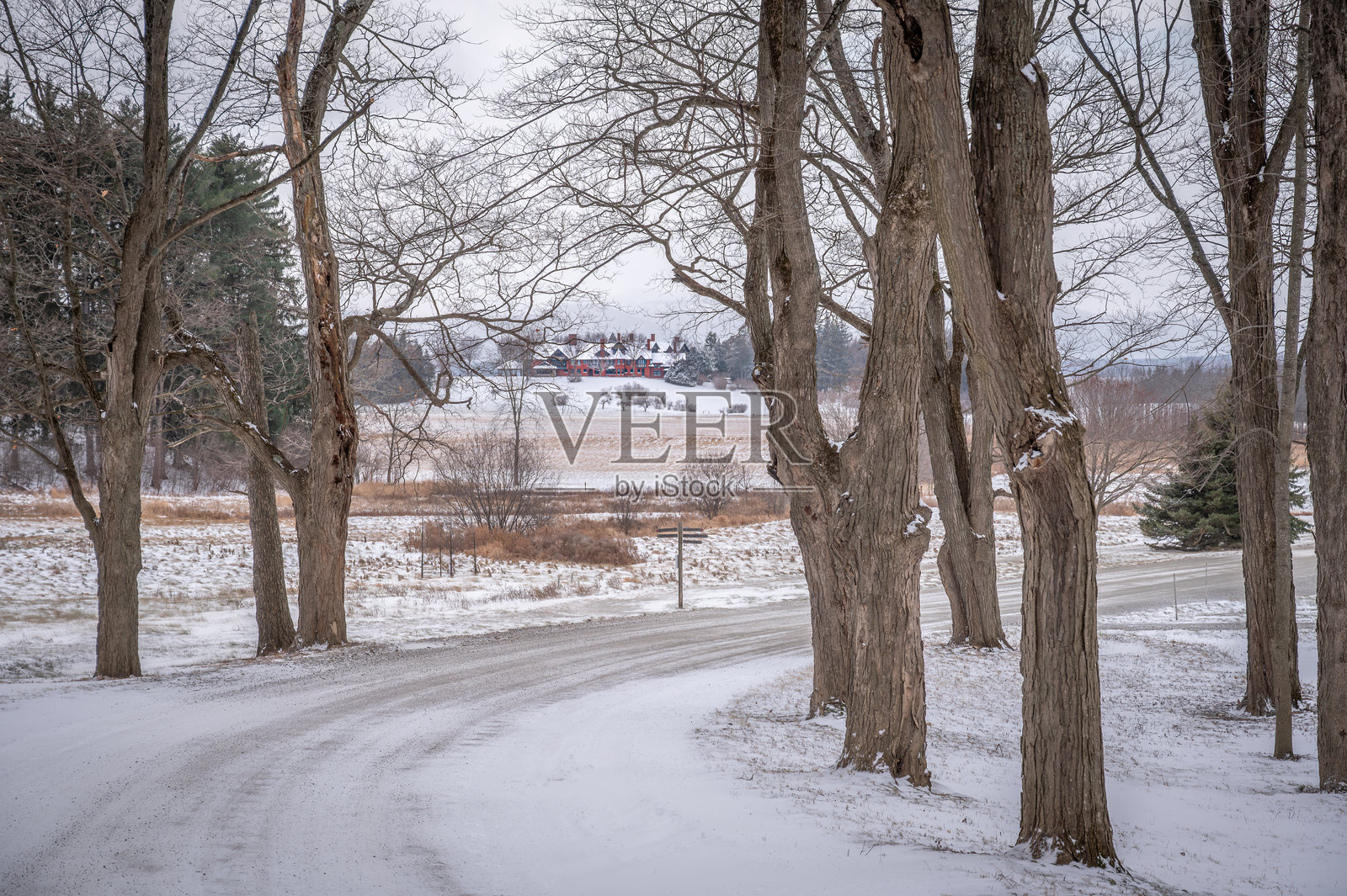 通往美国新英格兰佛蒙特州谢尔本农场旅馆的冬季道路照片摄影图片