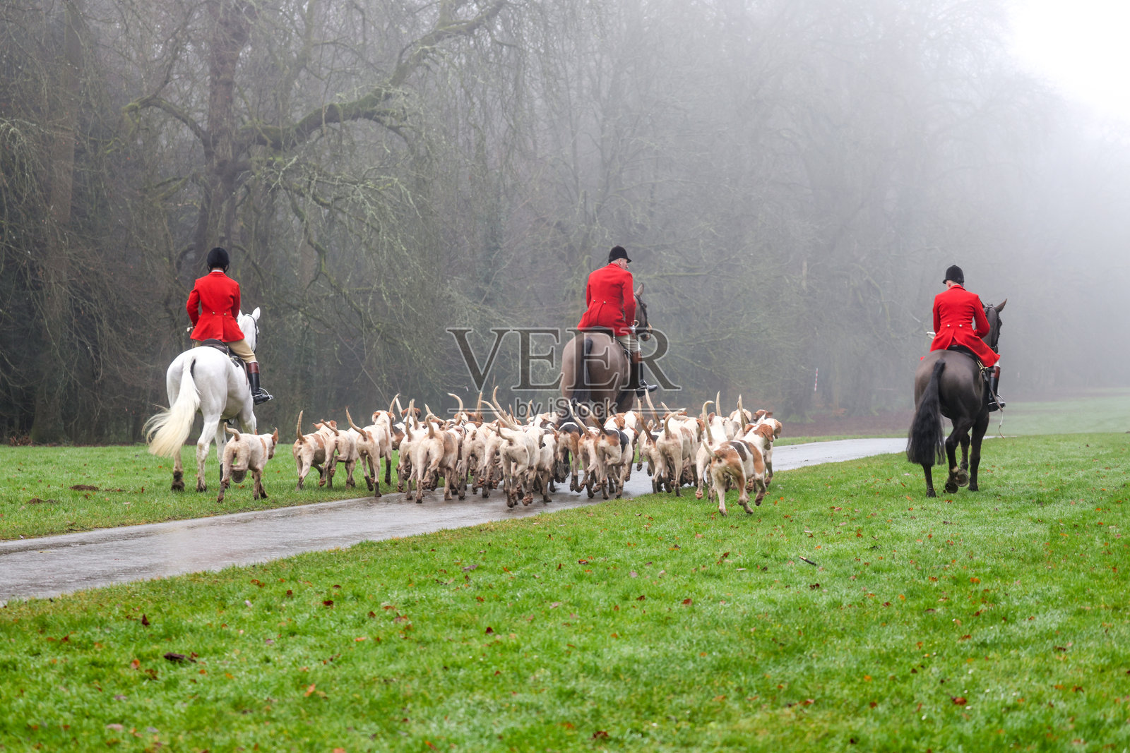 白马谷猎手和猎犬们离开，前往他们在科尔切斯特公园举行的年度节礼日拖猎活动，科尔切斯特，科茨沃尔德。照片摄影图片