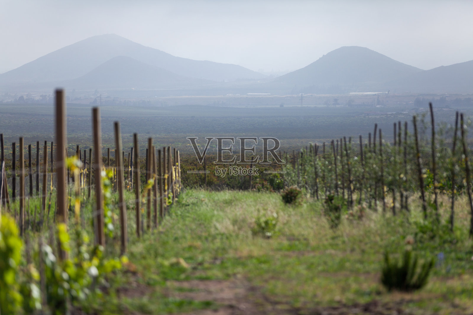 智利科金博地区拉塞雷纳的风景照片摄影图片