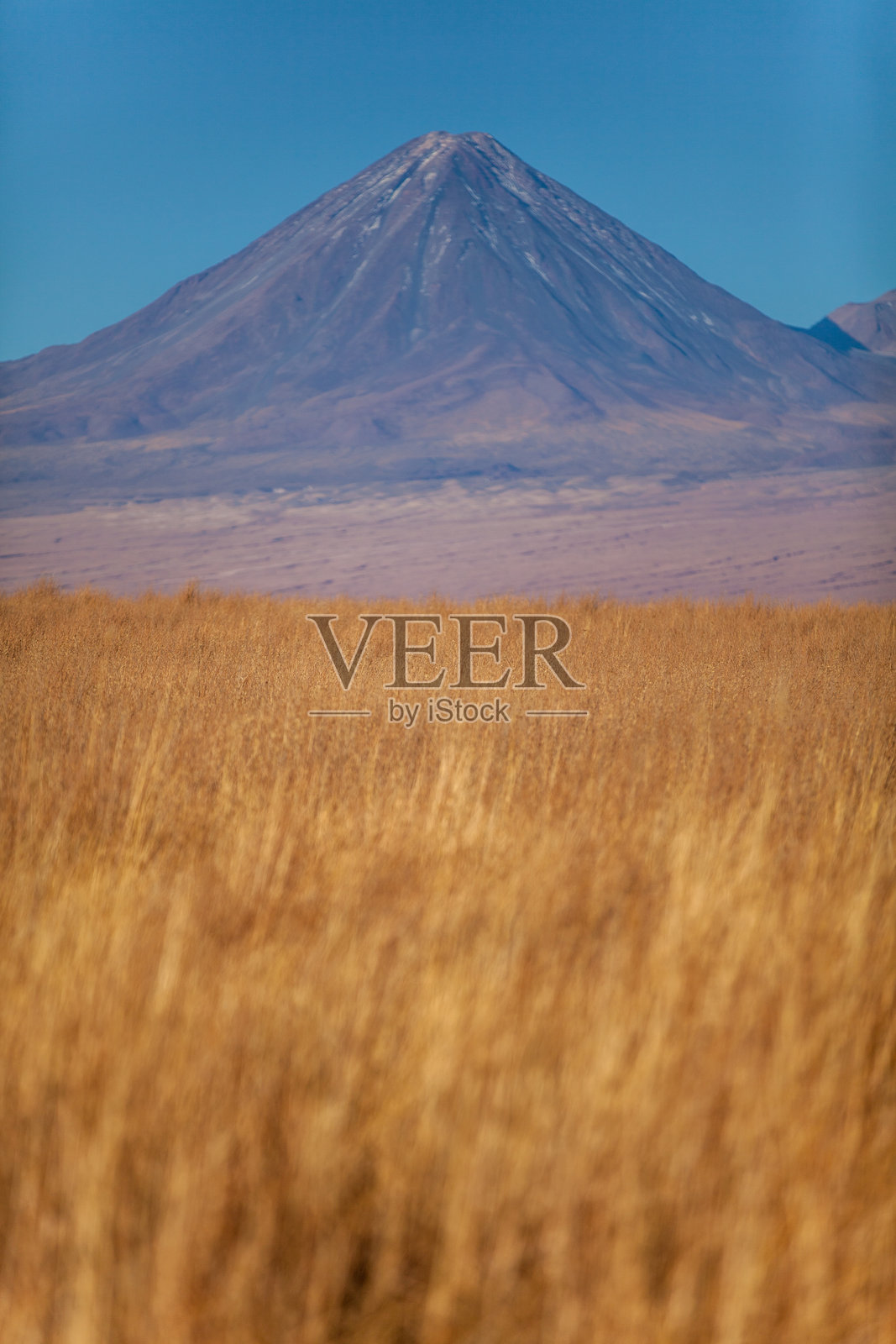 塞哈湖地区（西班牙语：Laguna Cejar） - 阿塔卡马沙漠（智利）照片摄影图片