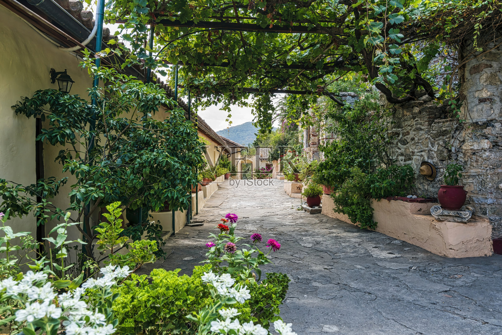 米斯特拉斯的潘塔纳萨修道院庭院照片摄影图片