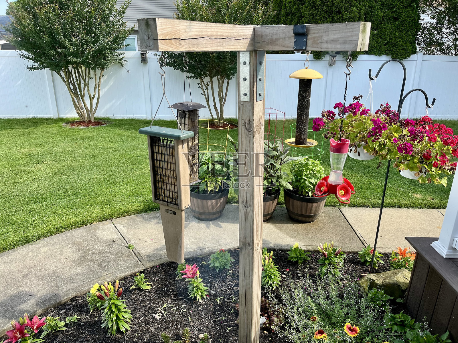 鸟食喂器照片摄影图片