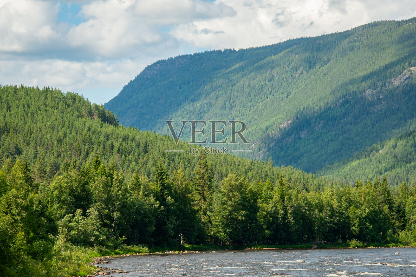 挪威的哈林达尔河，背景是绿色森林和蓝天照片摄影图片