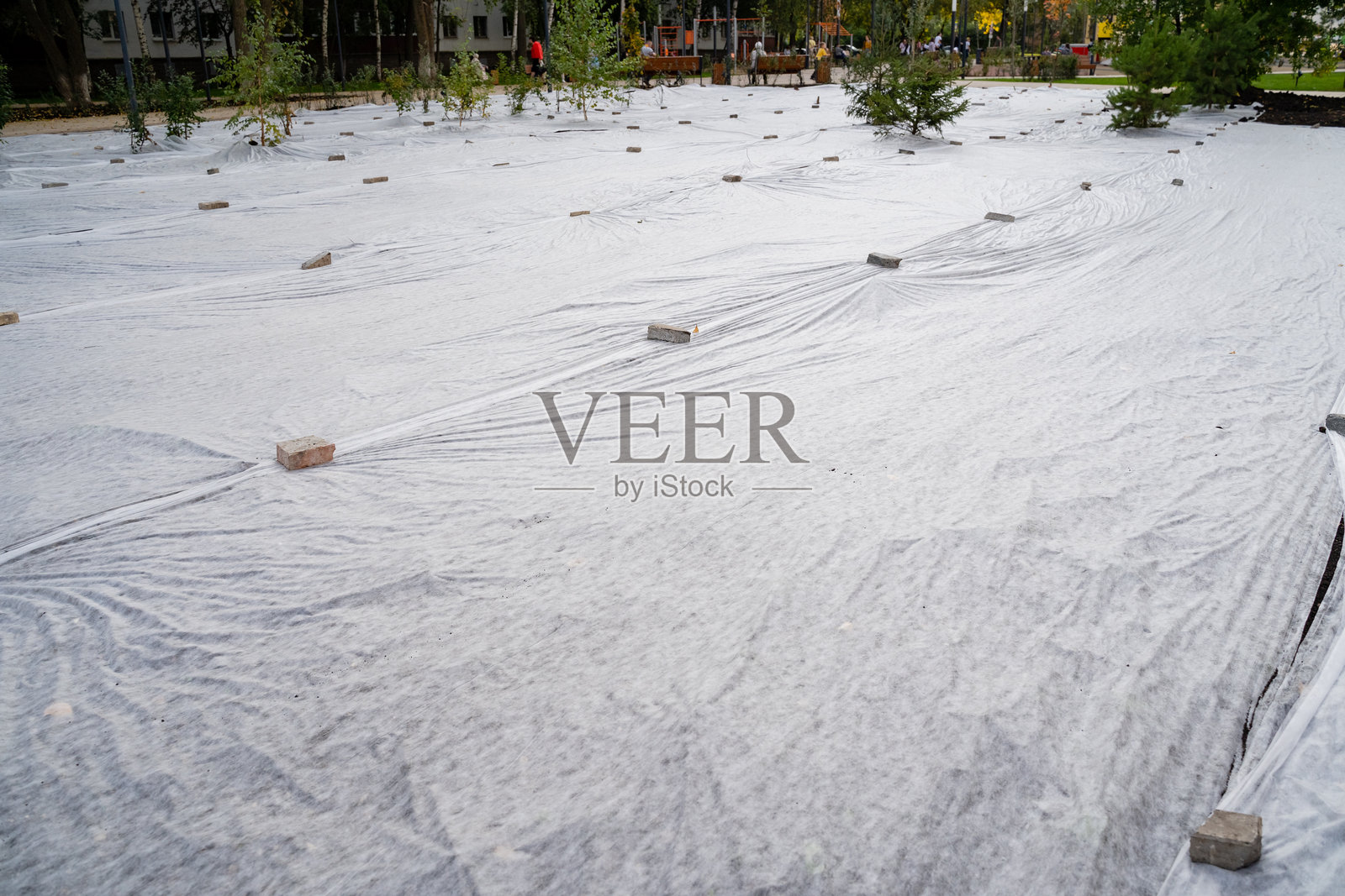 公园里，地面上不幸覆盖着大量塑料垃圾，这影响了自然景观和周围环境的美丽。照片摄影图片