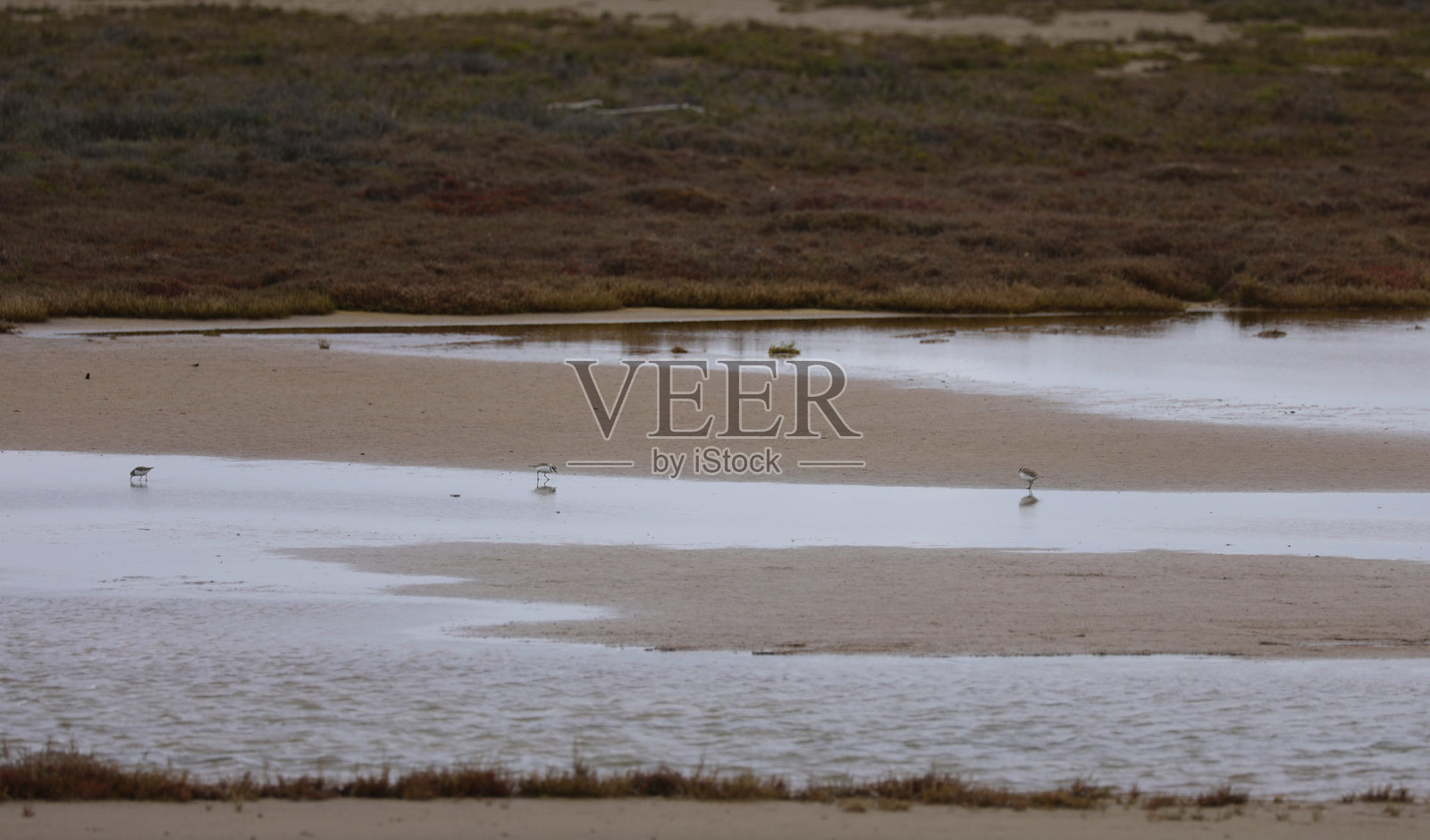 法国南部卡马尔格的风景照片摄影图片