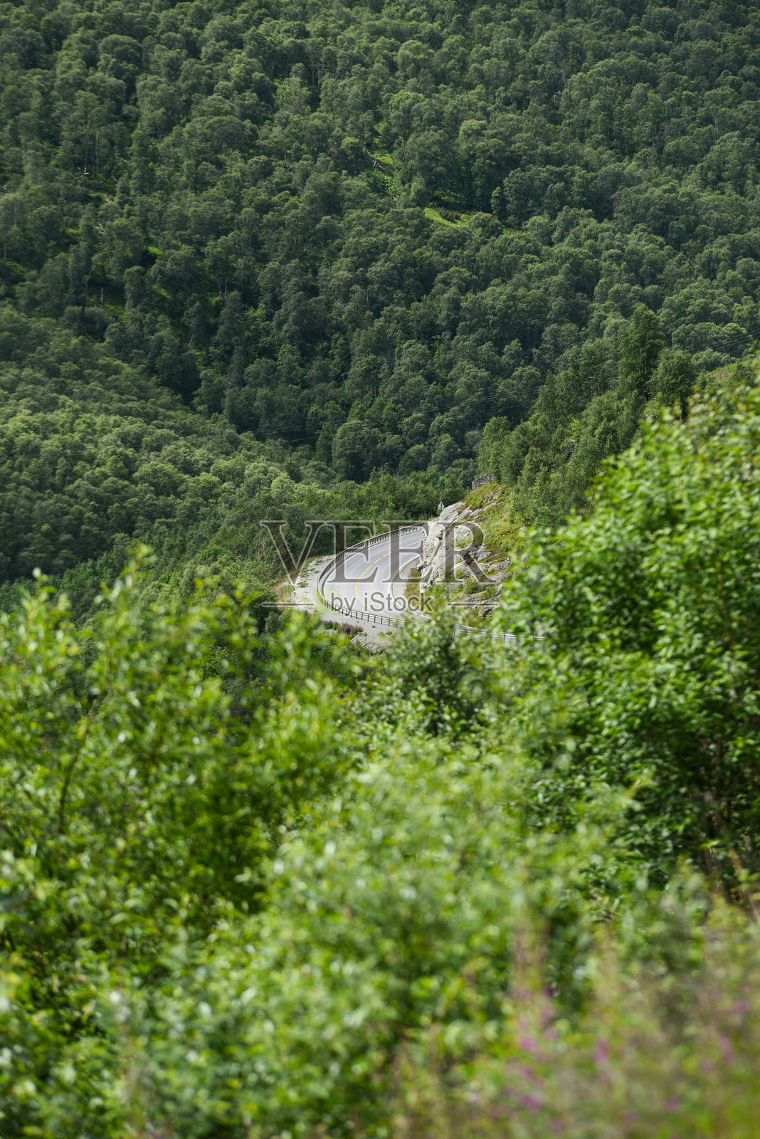 挪威。蜿蜒的道路在峡谷的绿色坡道上如画般曲折。特罗尔斯蒂根，挪威。照片摄影图片