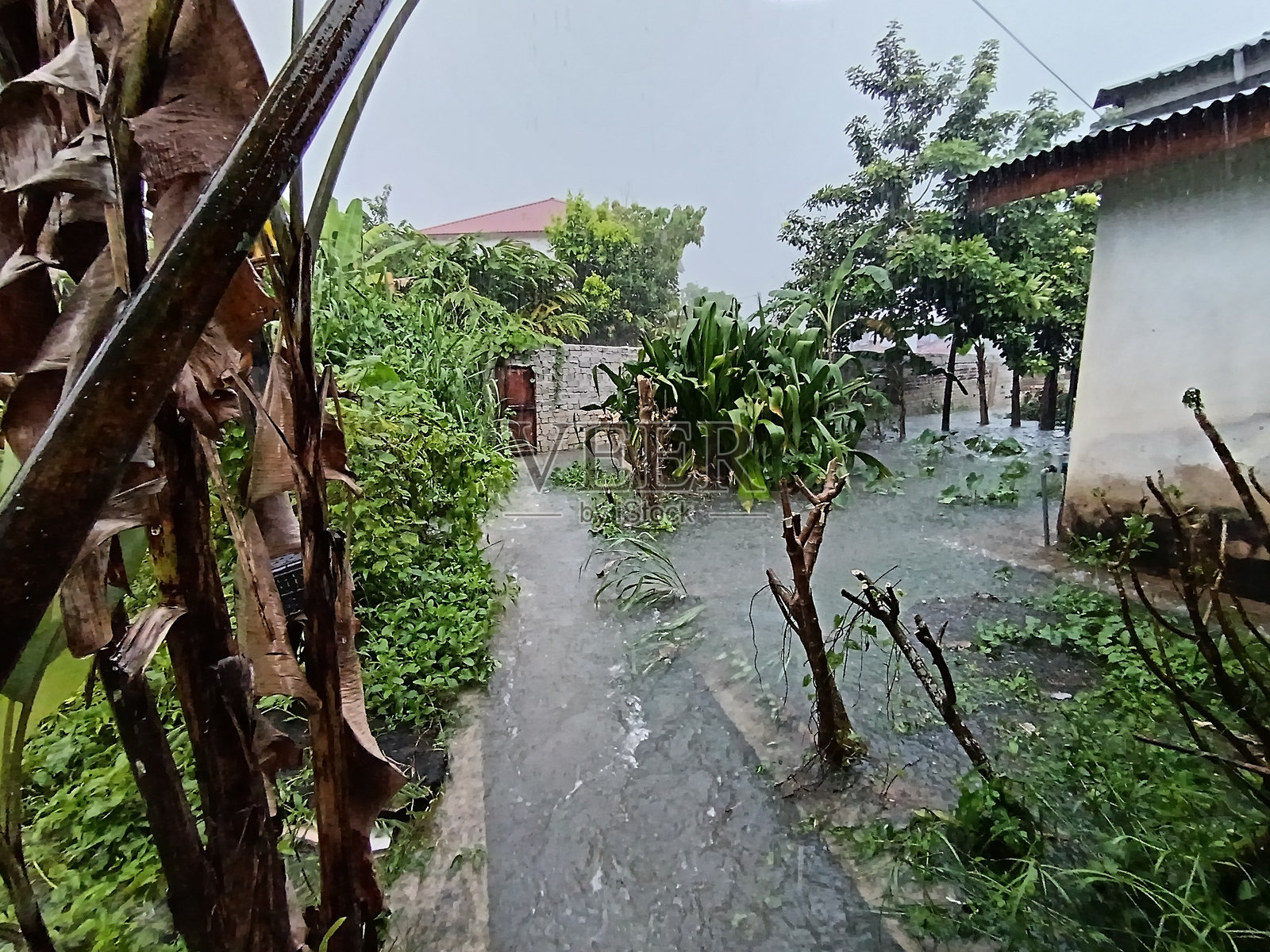 洪水照片摄影图片