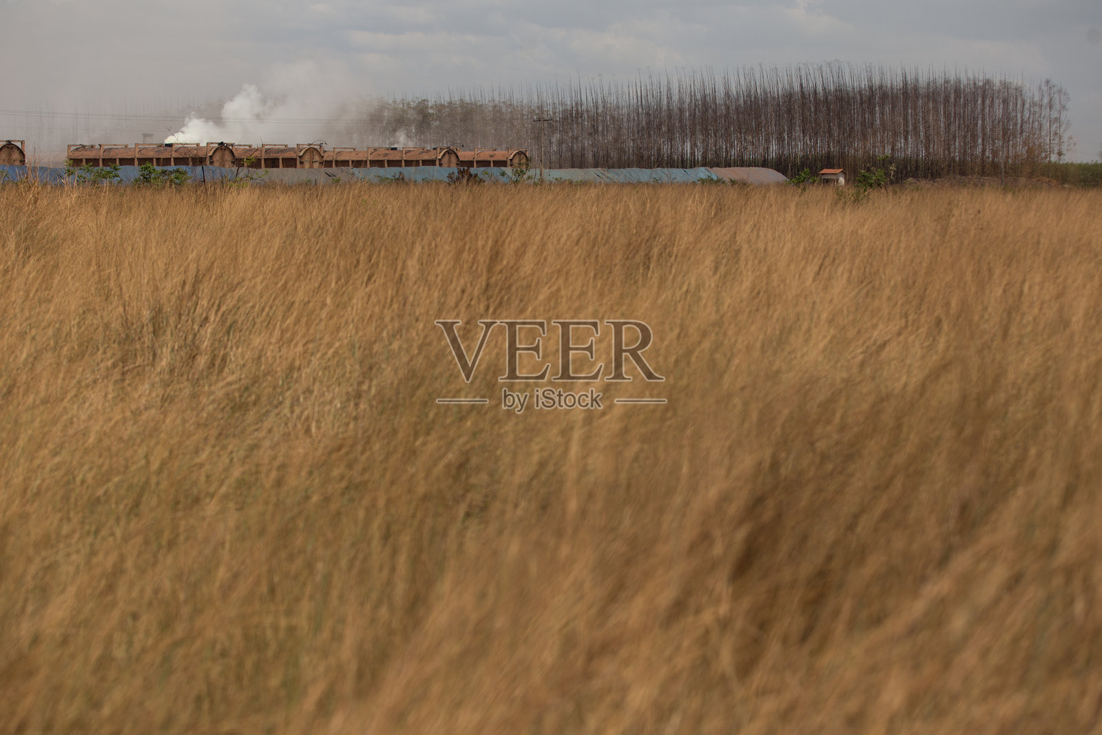 特雷斯玛里亚斯的钢铁生产工厂。照片摄影图片