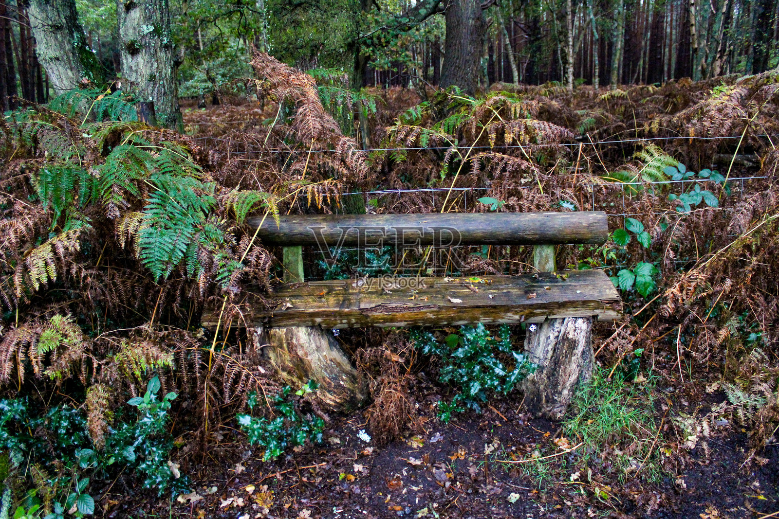 一张木制长椅照片摄影图片