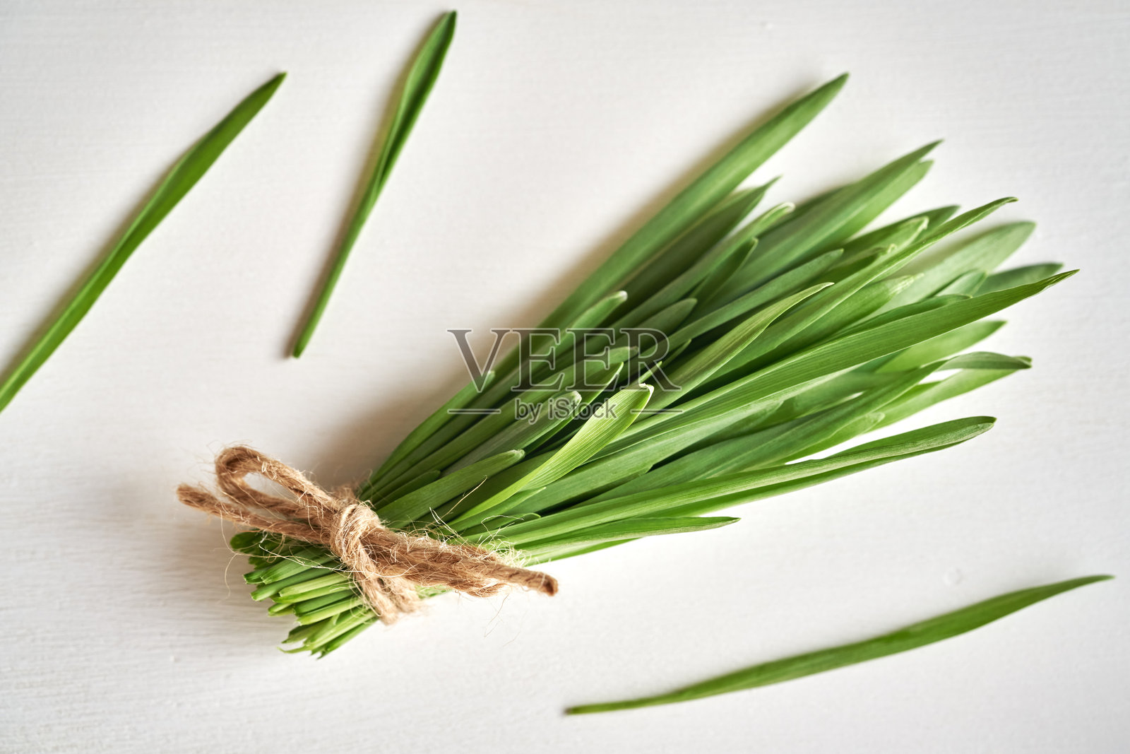 新鲜的年轻青麦草叶子在白色背景上照片摄影图片