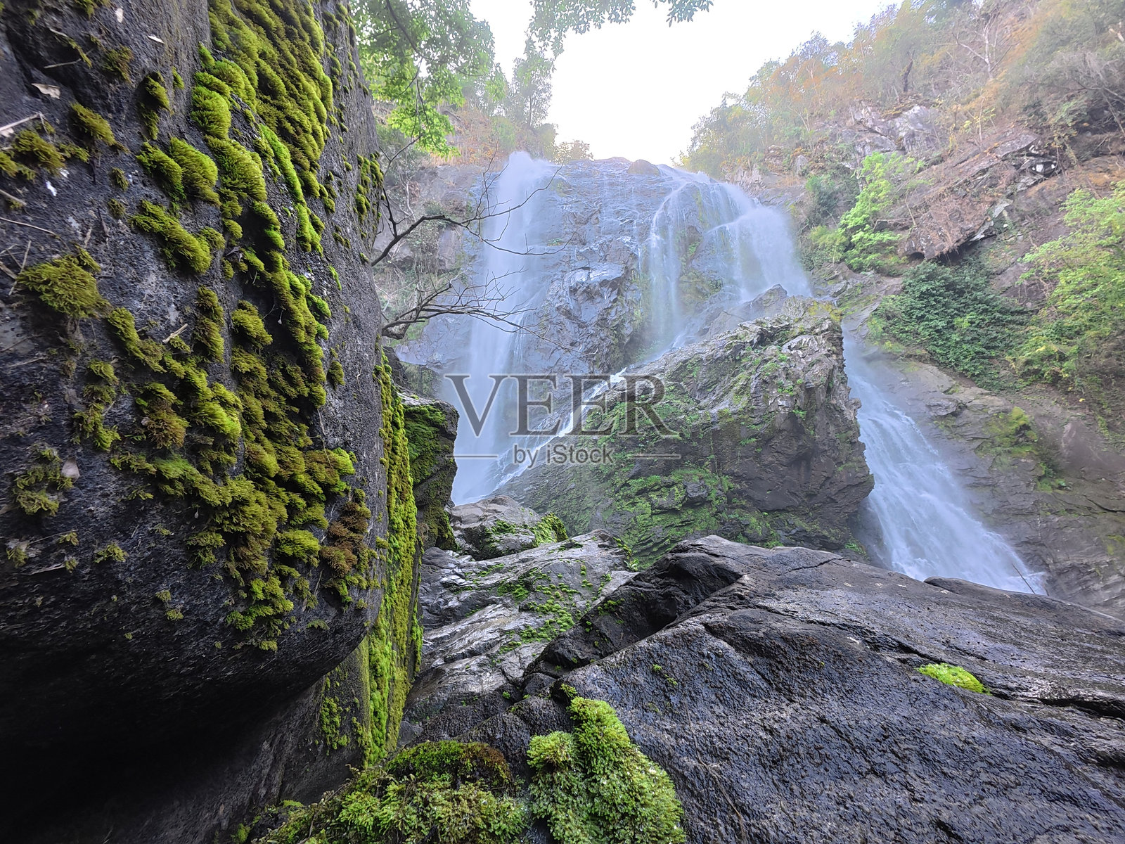克隆兰瀑布，雨林中长满苔藓和蕨类植物照片摄影图片
