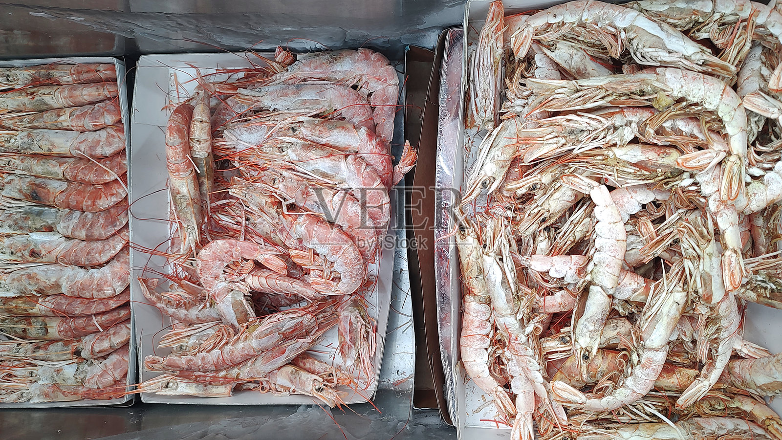 冷冻虾的特写在冰箱中照片摄影图片