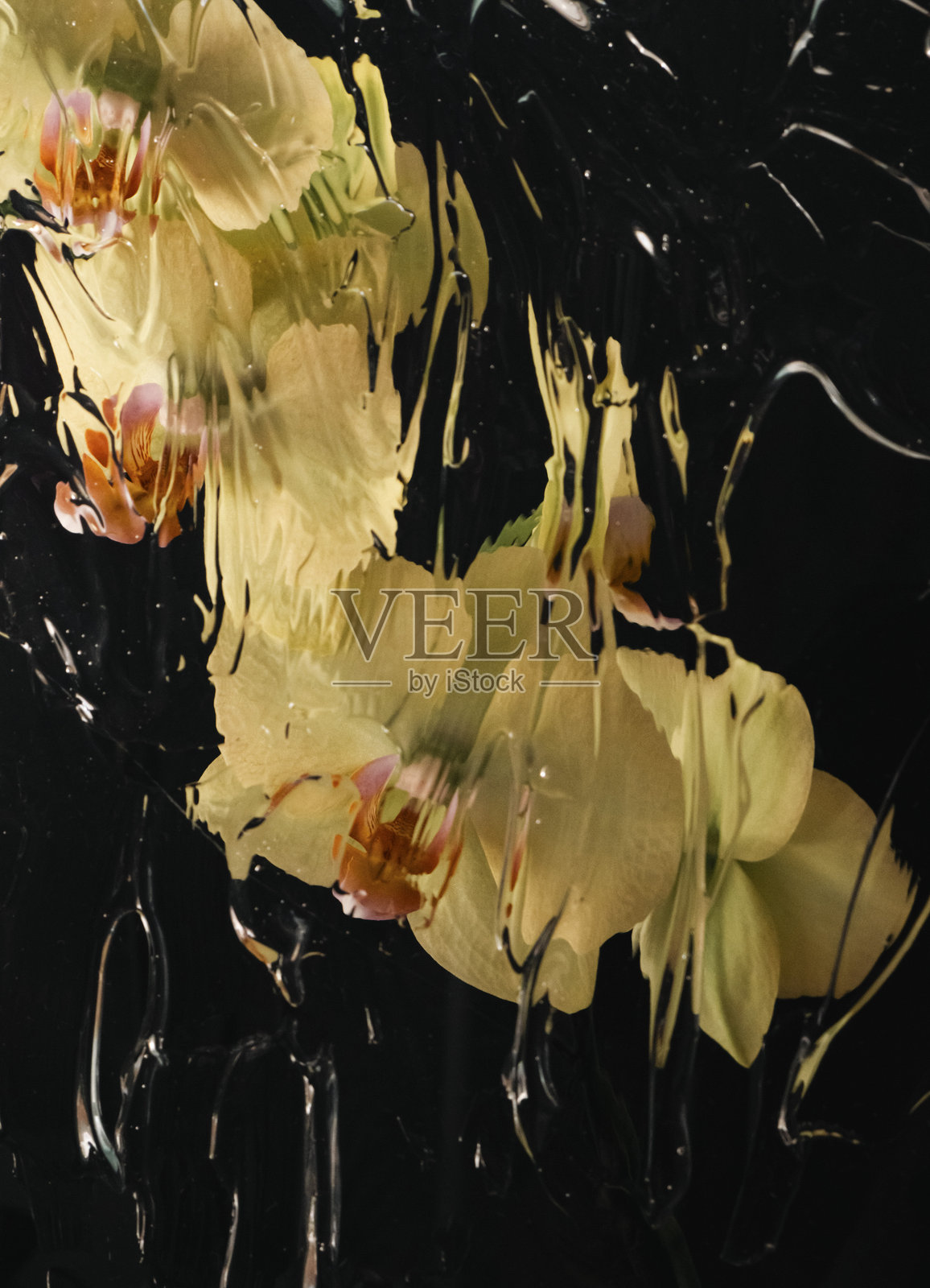 花瓣的波浪 V照片摄影图片