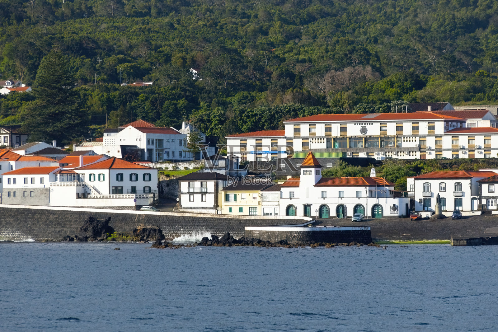 阿佐尔群岛葡萄牙皮库岛皮库火山坡上的村庄照片摄影图片
