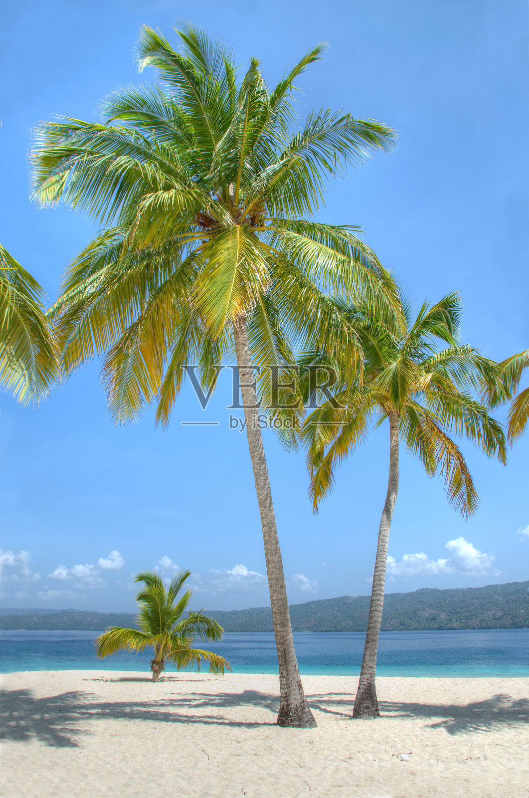 多米尼加共和国巴卡迪岛上，白色沙滩上的棕榈树与海洋背景。照片摄影图片