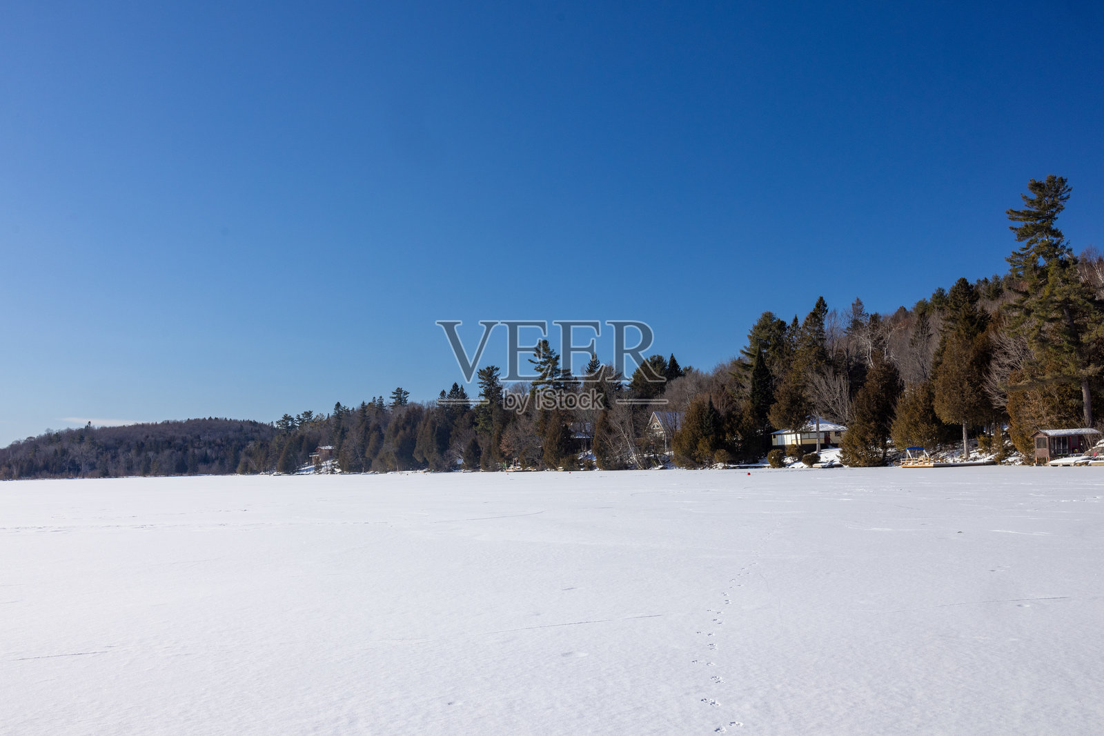 雪覆盖的湖泊和松树环绕的冬季风景照片摄影图片