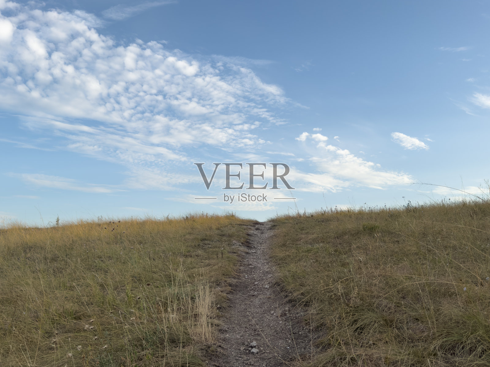 天空-云彩-日落-植物-日常散步照片摄影图片