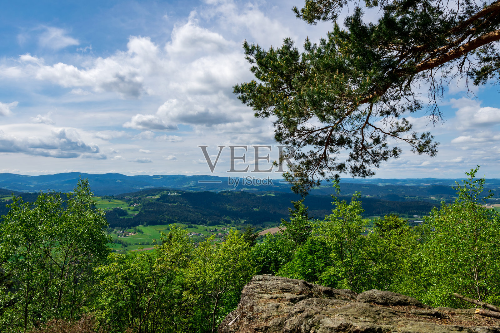 巴伐利亚森林中阳光明媚的一天，树木、天空中的云朵和背景中的山脉。照片摄影图片