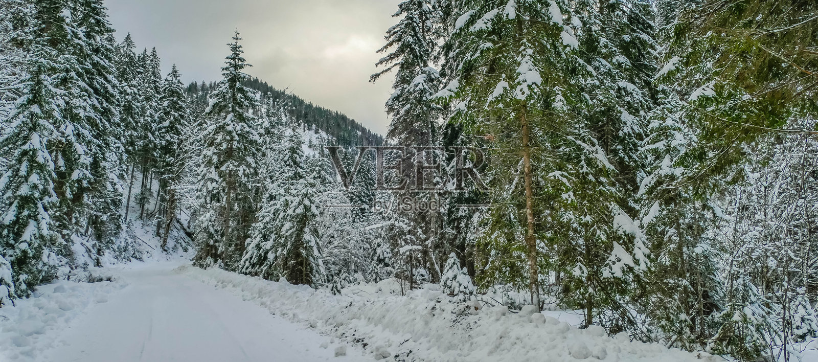 巴伐利亚斯图姆普芬格拉本的冬季全景风景照片摄影图片