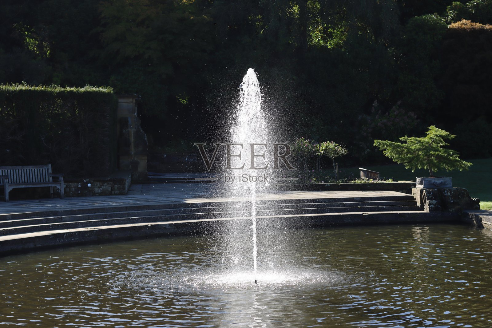 正式花园中的喷泉照片摄影图片