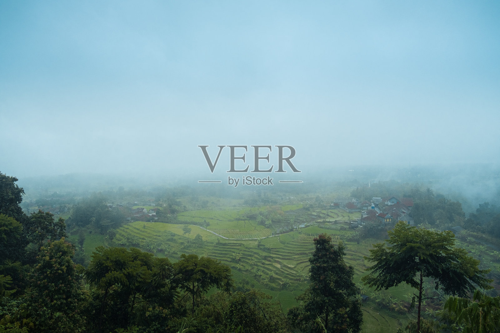 柔雾笼罩下的隐秘田野照片摄影图片