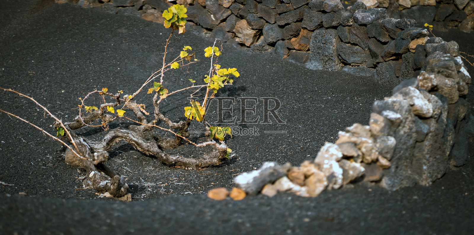 马斯卡峡谷的风景名胜。照片摄影图片