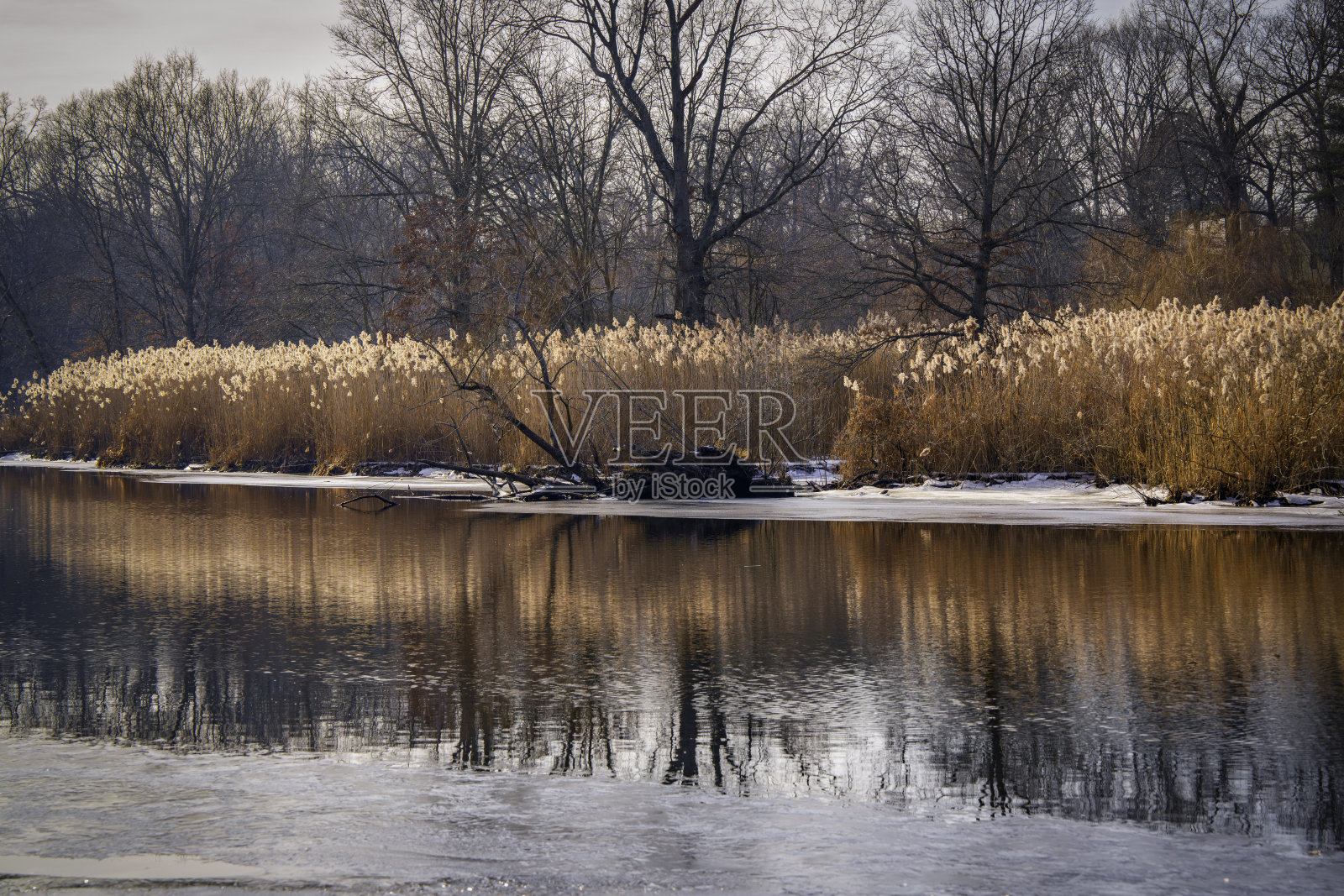 康涅狄格州纽黑文的新英格兰冬季风景照片摄影图片