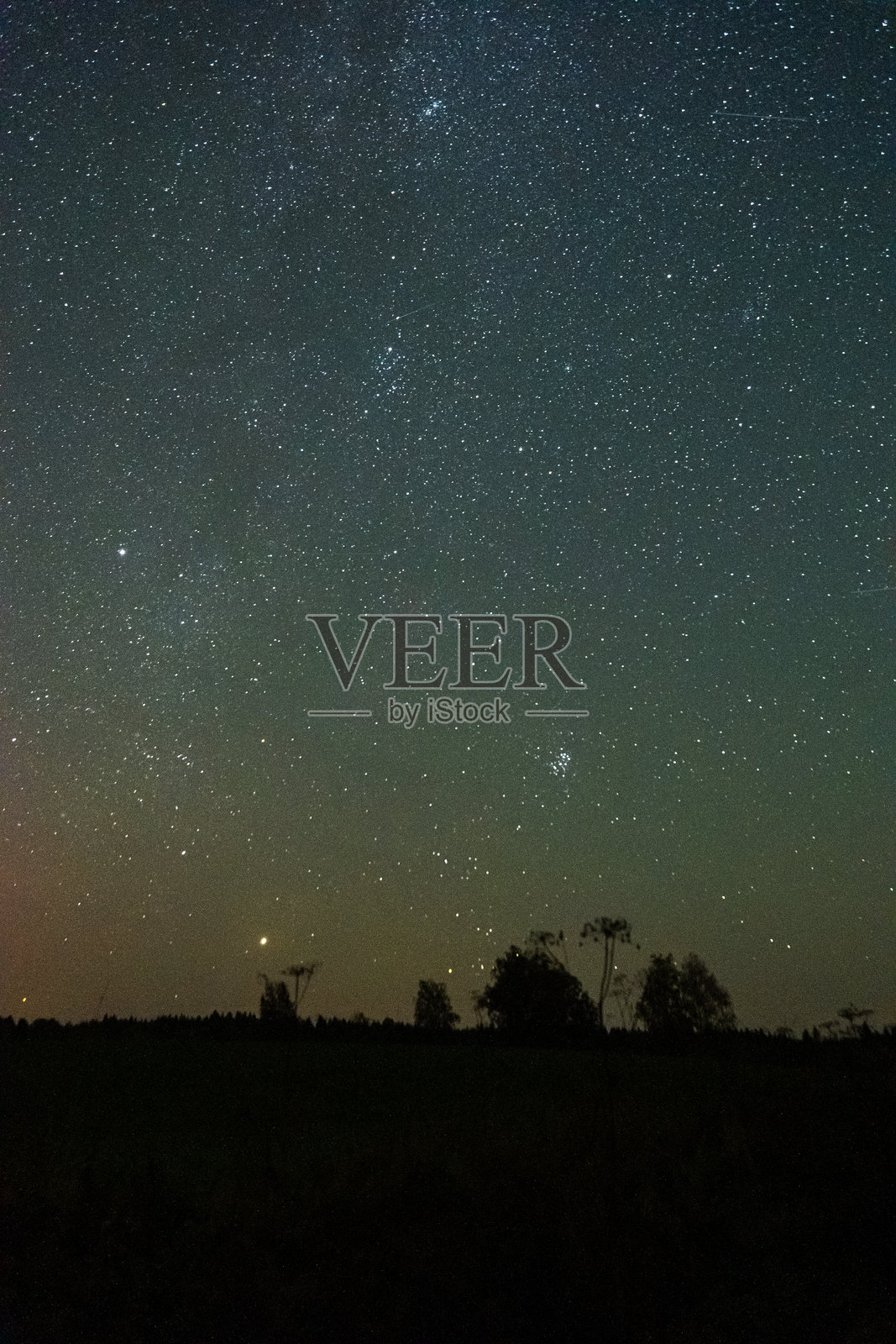 夜空中星星闪烁的田野风景照片摄影图片