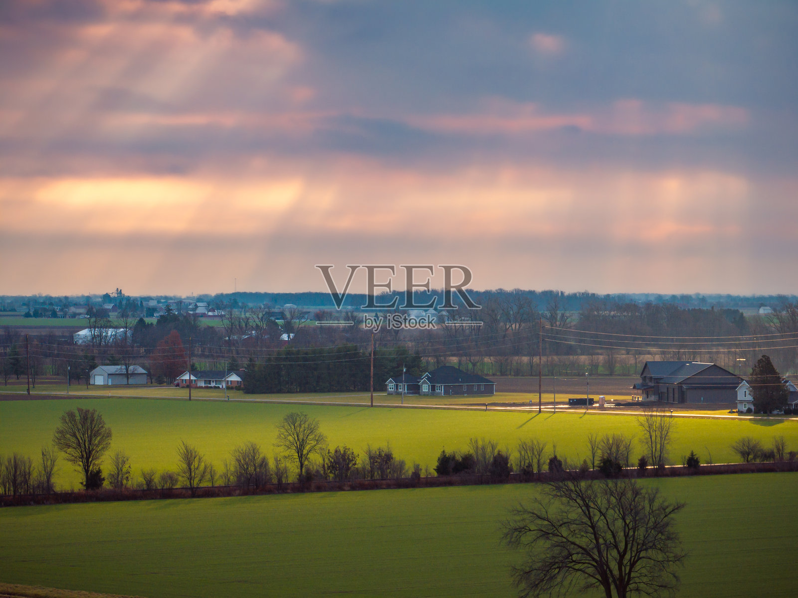 冬小麦田的亮点照片摄影图片