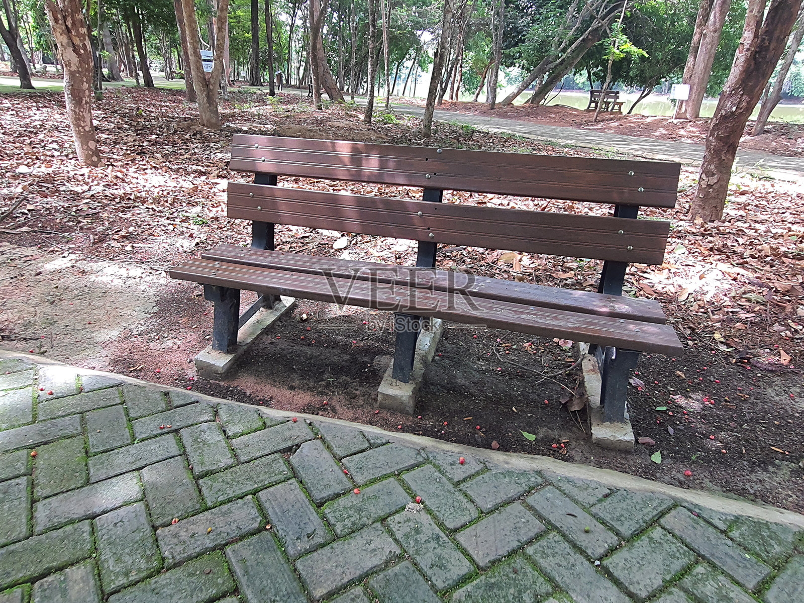 公园里的休闲长椅。照片摄影图片