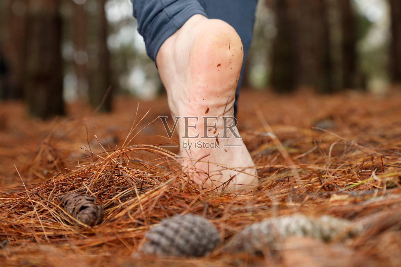 年轻女性赤脚走在森林中照片摄影图片