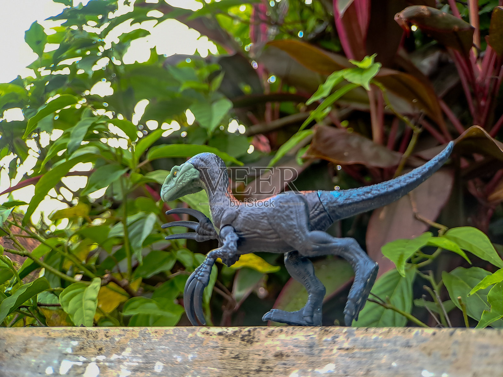 一张特写镜头展示了一只栩栩如生的恐龙玩具，置于木质表面上，背景是生机勃勃的绿色植物。这幅图像唤起了史前的奇妙感。照片摄影图片