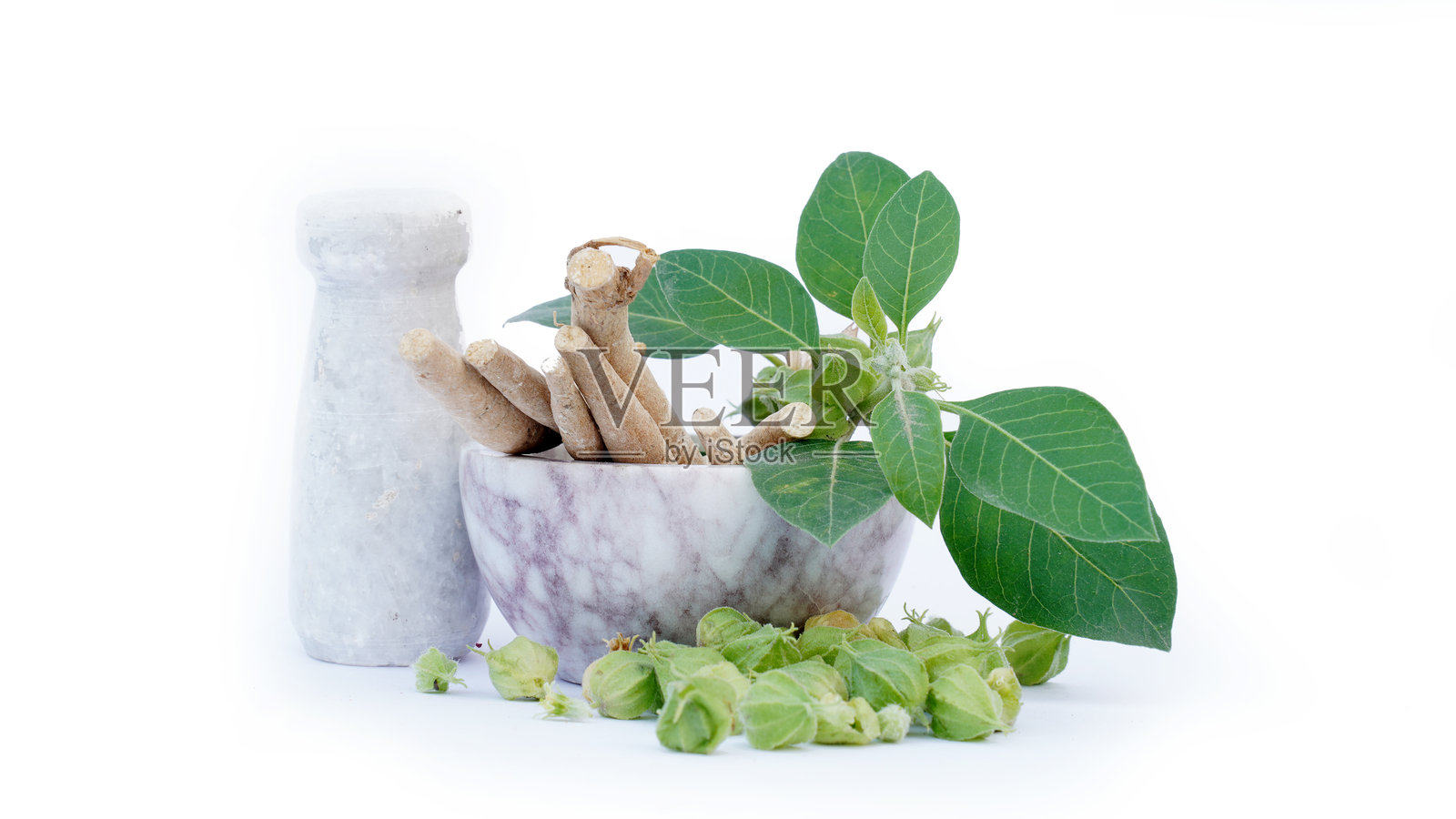 阿育吠陀干根药用草药与新鲜叶子，毒醋栗或冬樱桃照片摄影图片