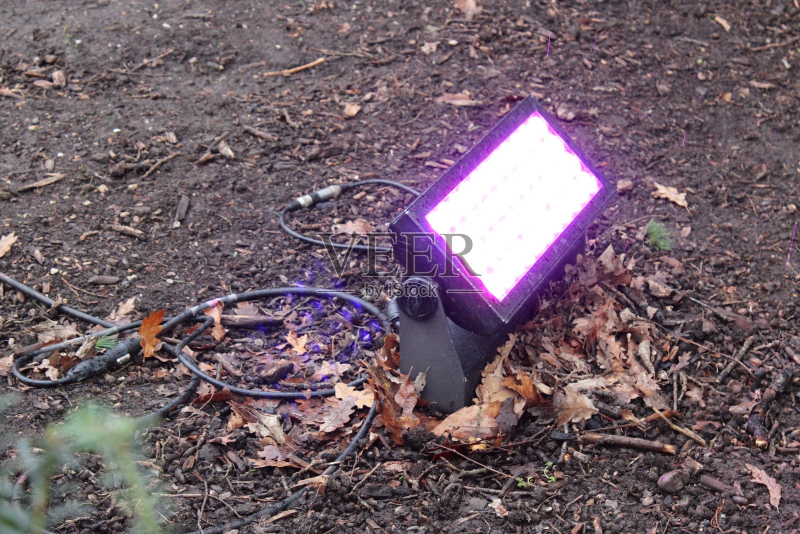 紫色现代LED户外聚光灯，安装在地面上，白天拍摄，透视聚焦照片摄影图片