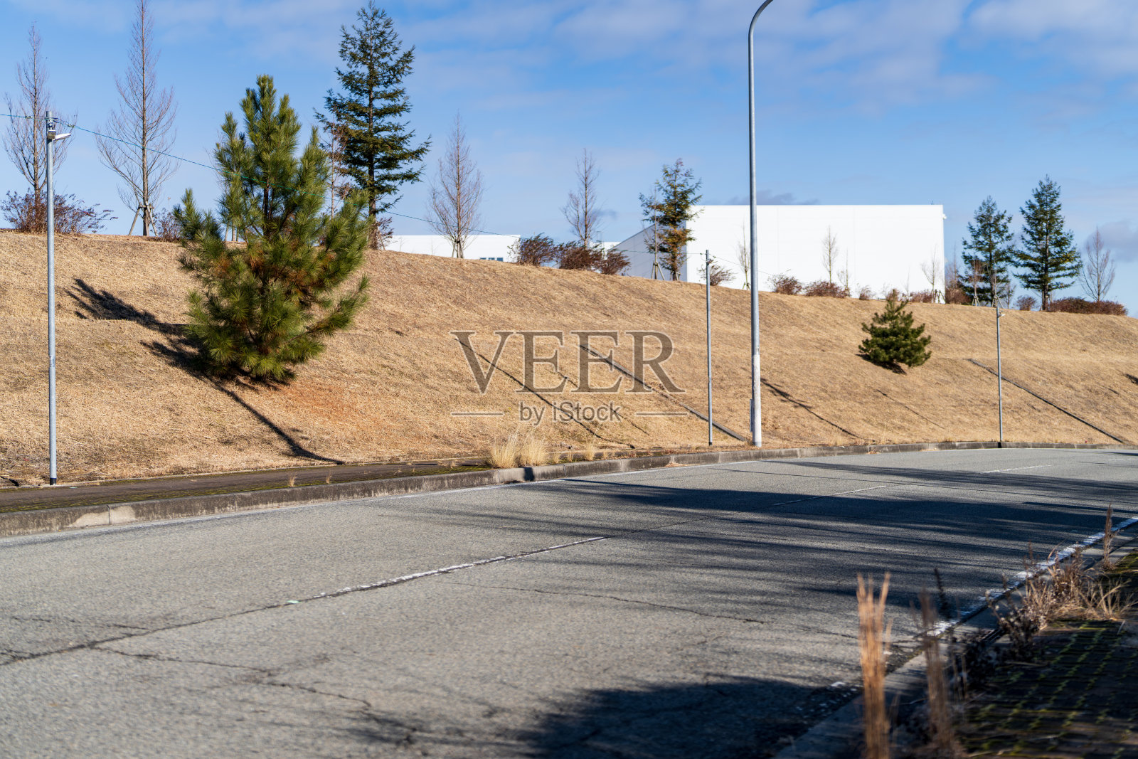 宁静的城市道路景观在晴朗的蓝天之下照片摄影图片
