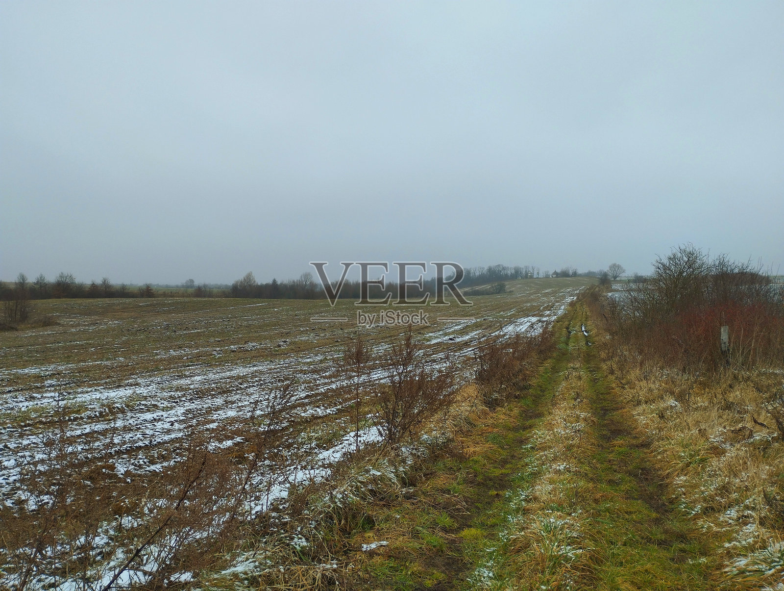 冬季一条被草覆盖的笔直田间小路。照片摄影图片