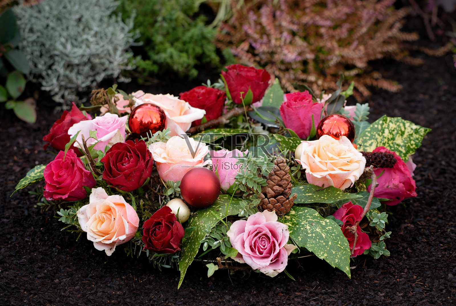 冬季墓地布置，配有粉色和红色玫瑰照片摄影图片