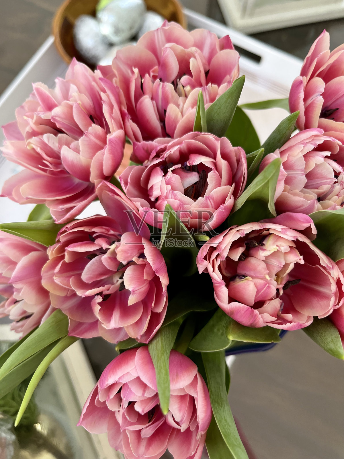 郁金香花束照片摄影图片