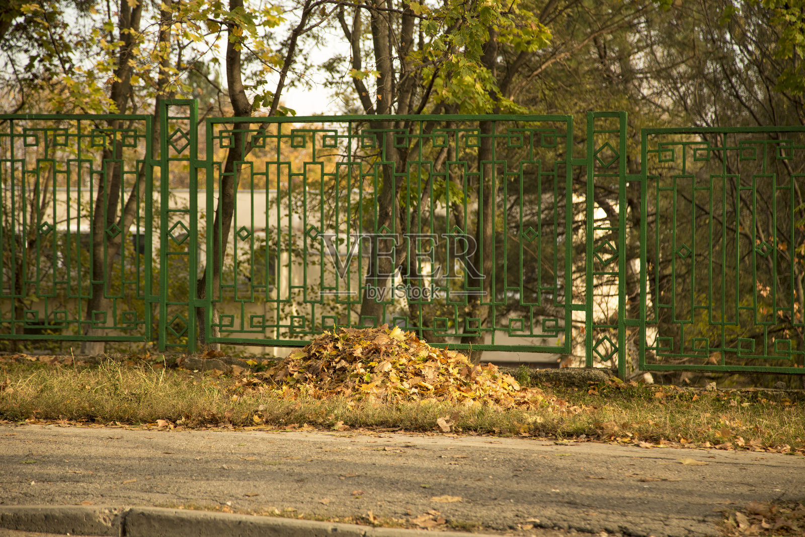 城市公园围栏旁的秋天落叶堆照片摄影图片