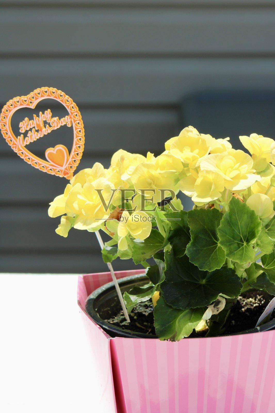 母亲节快乐标志照片摄影图片