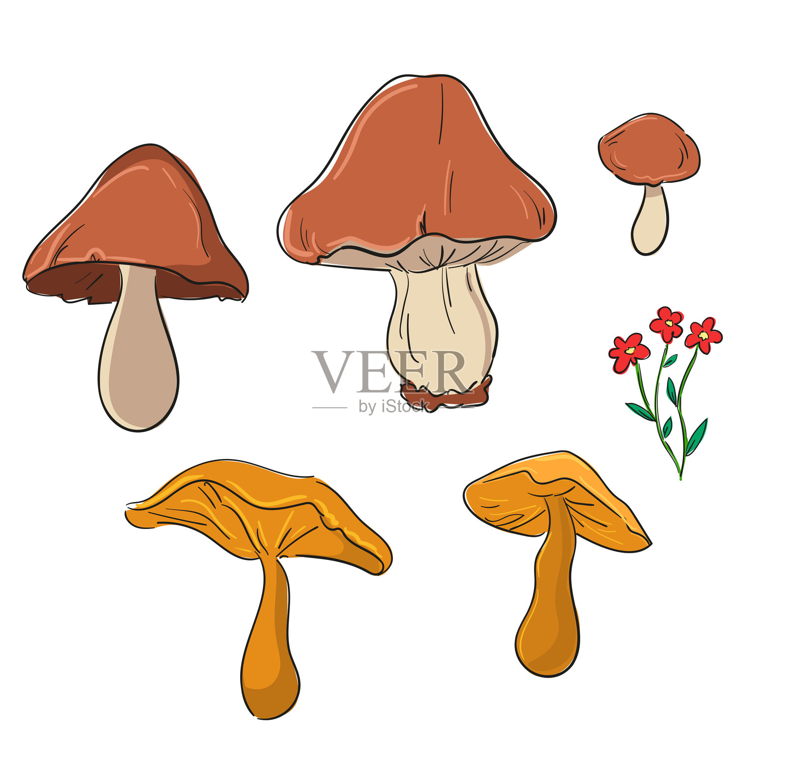 手绘蘑菇插图集插画图片素材