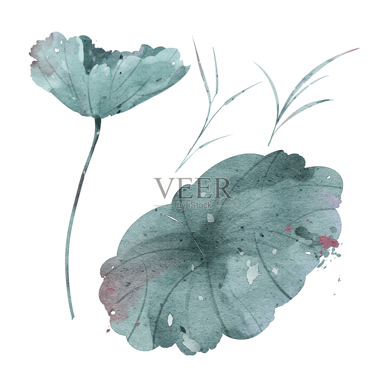 深绿色的莲叶插图插画图片素材