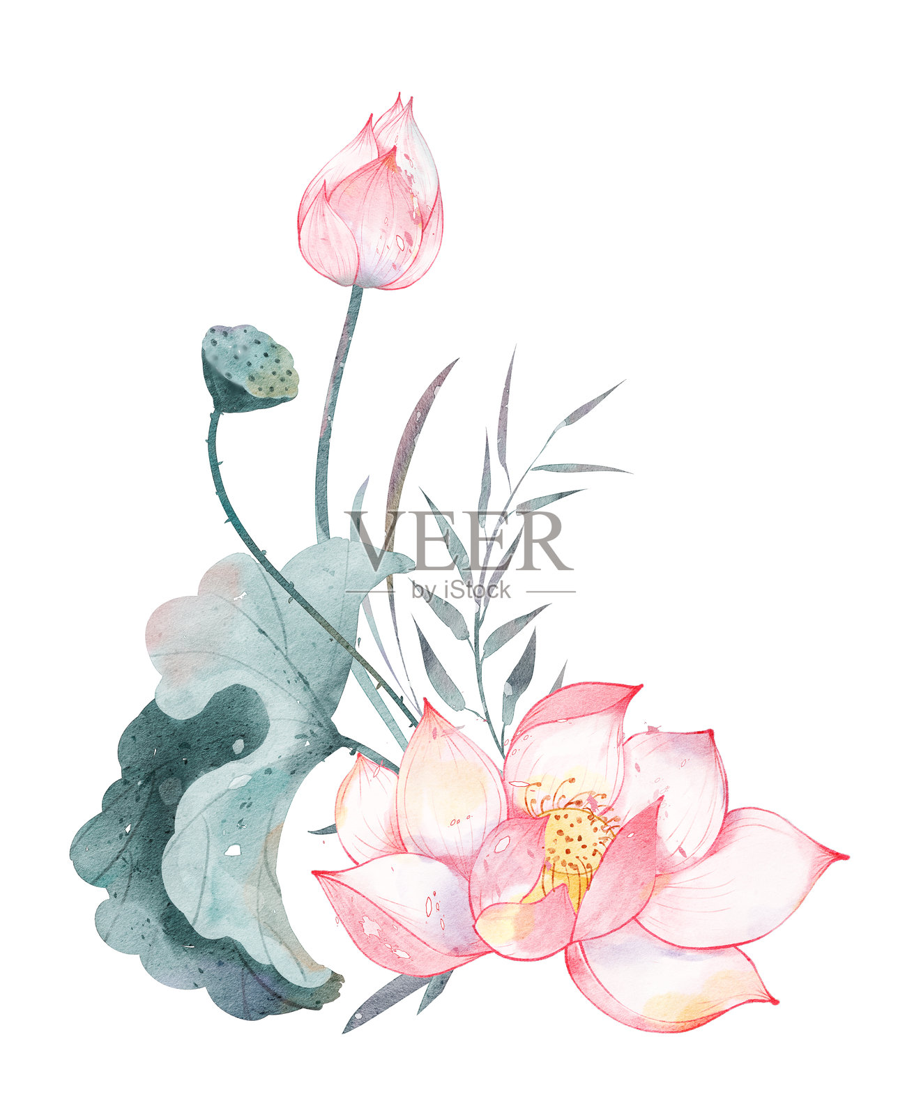 粉色莲花和莲叶的花束设计插画图片素材