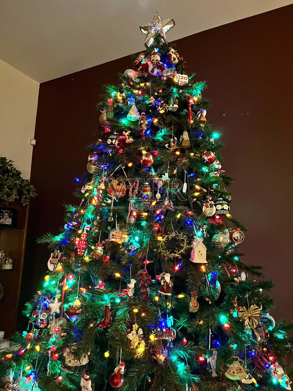 圣诞树照片摄影图片