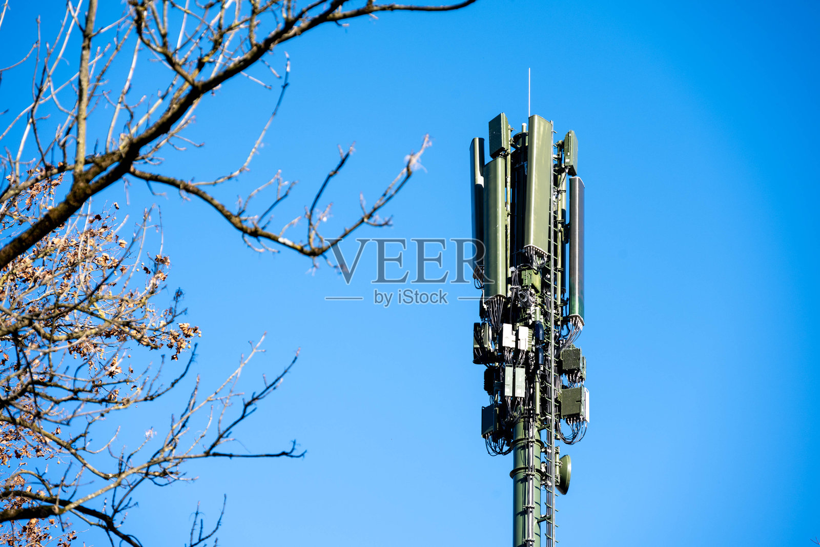 光秃的树木和蓝天前的手机信号塔照片摄影图片
