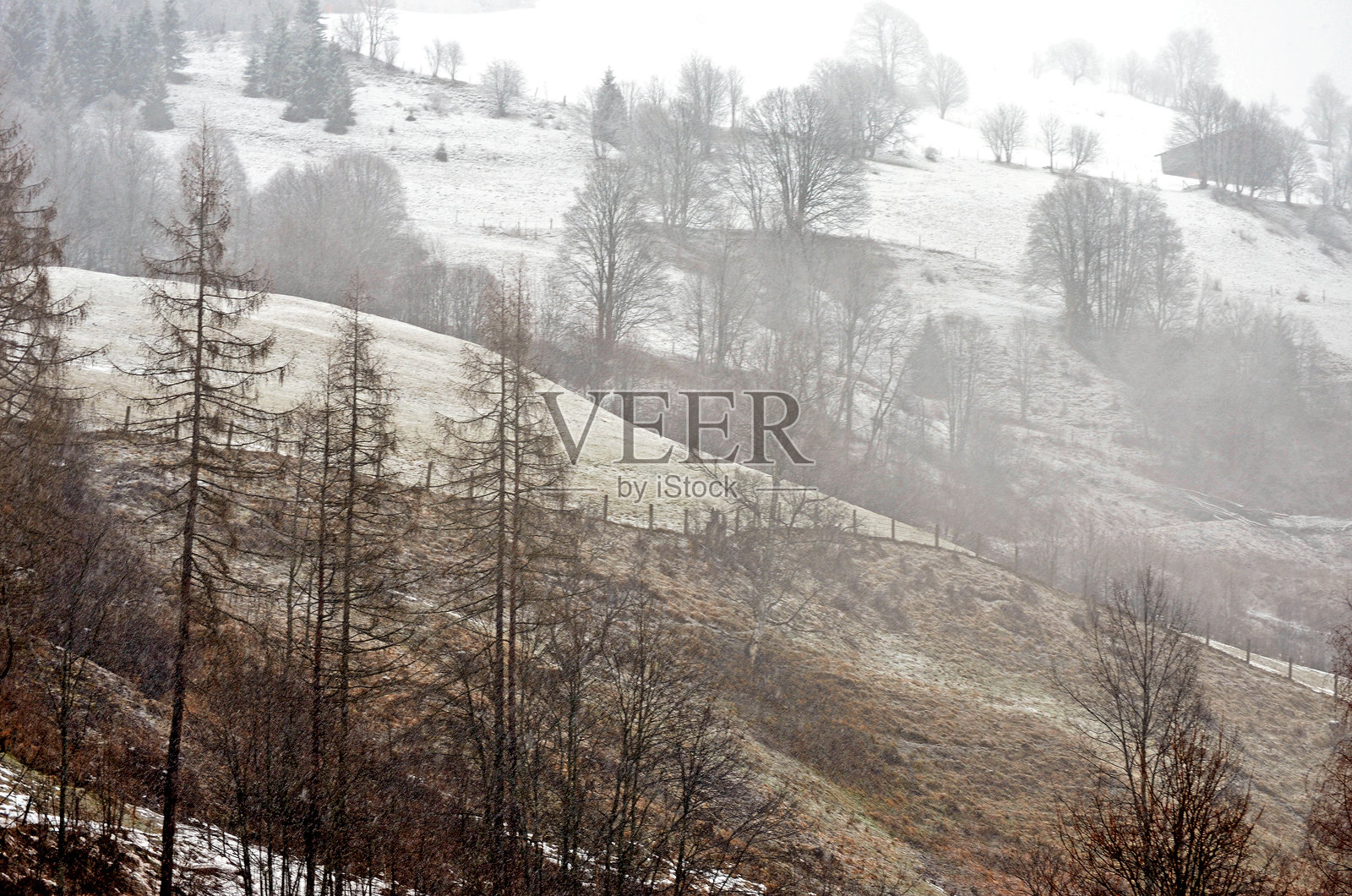 冬季的自然景色照片摄影图片