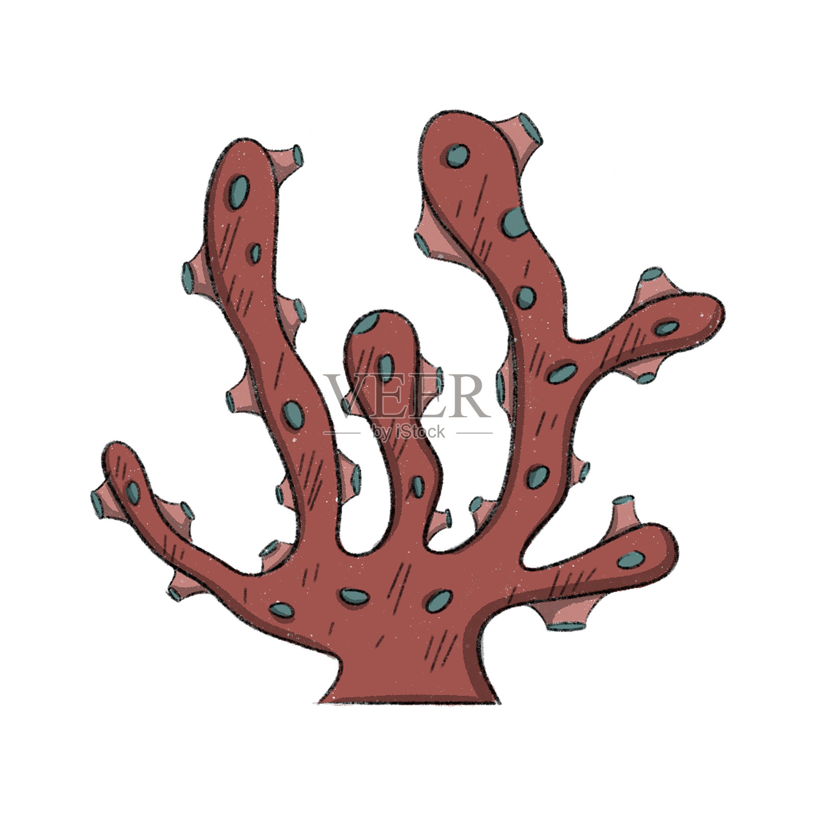 手绘的多彩珊瑚。海底系列元素插画图片素材