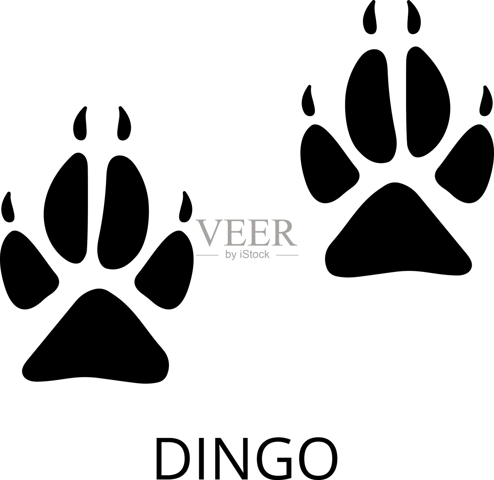 动物足迹。逼真的野生动物足迹图标，鸟爪，宠物脚印轮廓，蹄足印。猫、狗、狼、鸡、马及其他矢量插图。插画图片素材