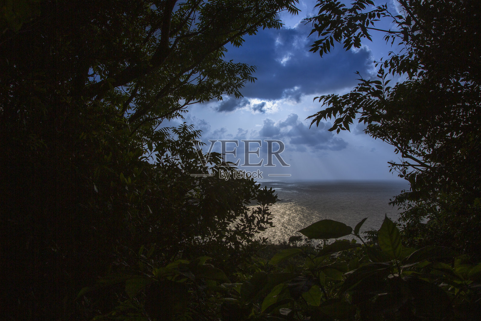 奄美大岛的创意光影与形态照片摄影图片